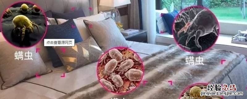 床垫里有虫子是什么虫子怎么治理 床垫里有虫子是什么虫子怎么治理视频