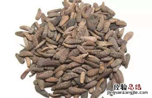 牛蒡子汤的几种做法窍门 牛蒡子汤的几种做法
