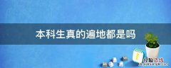 本科生真的遍地都是吗 本科生真的很多吗