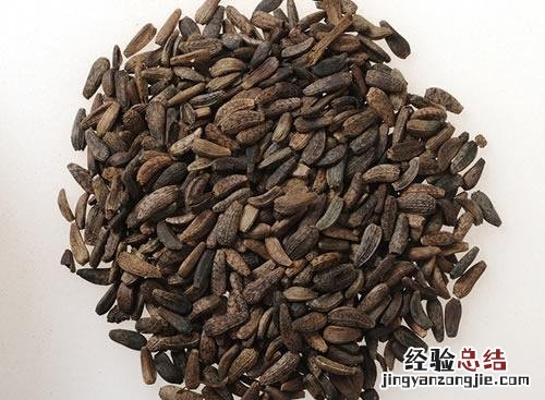 炒牛蒡子的功效是什么 炒牛蒡子的功效是什么作用