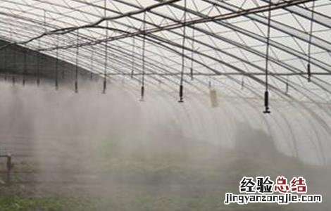 夏季蔬菜大棚需要遮阳吗 蔬菜大棚夏季遮阳注意事项