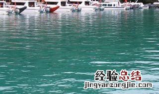 为什么培养不出绿水 养不出绿水的原因