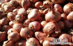 毛葱的种植方法 毛葱的种植方法视频