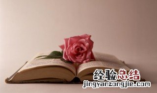 井蛙醯鸡的意思 井蛙什么鸡