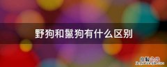 野狗和鬣狗有什么区别可以饲养吗? 野狗和鬣狗有什么区别