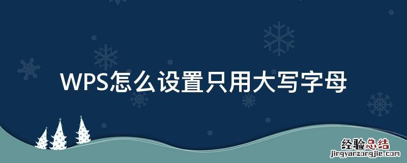 WPS怎么设置只用大写字母 怎么设置wps表格里的字母只能是大写