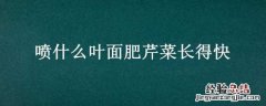 喷什么叶面肥芹菜长得快 芹菜喷施用什么肥料