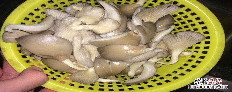 种平菇为什么不挣钱 种平菇一年能挣多少钱