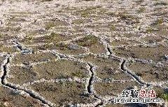 大棚盐碱地怎么改良土壤 大棚土壤盐碱化原因及防治措施