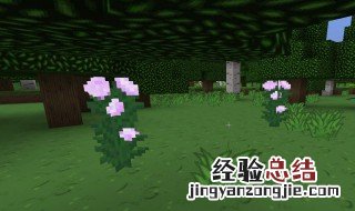 我的世界热键模式是什么意思 我的世界热键模式怎么关