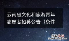 条件+入口+时间+内容 云南省文化和旅游青年志愿者招募公告