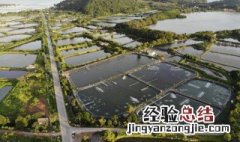 食用河蚌养殖致富经 食用河蚌的养殖方法
