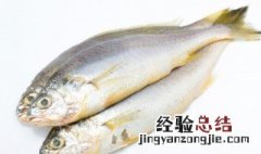 姜葱炖草鱼怎么做 姜葱炖草鱼怎么做才好吃