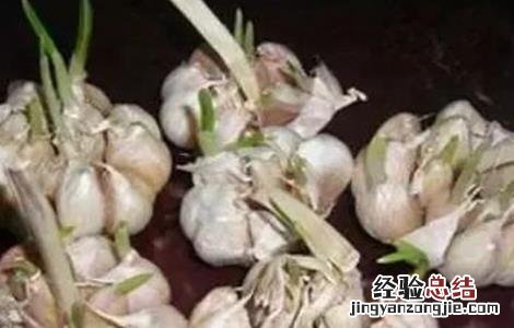 大蒜空心原因及预防措施 怎样防止大蒜空瘪