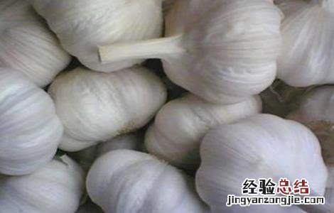 大蒜空心原因及预防措施 怎样防止大蒜空瘪