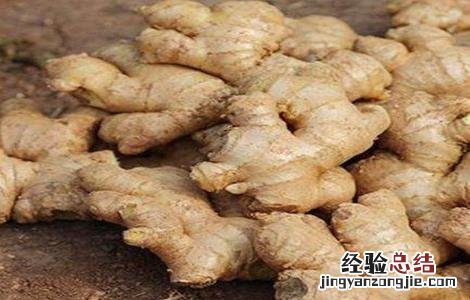 生姜贮藏方法有哪些 生姜贮藏方法