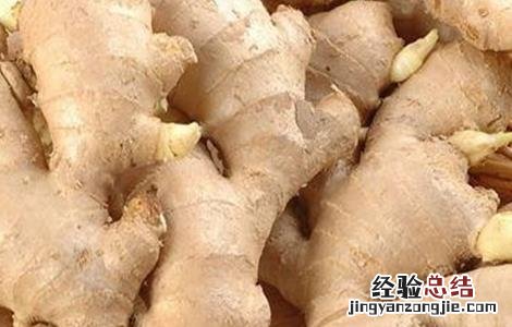 生姜贮藏方法有哪些 生姜贮藏方法