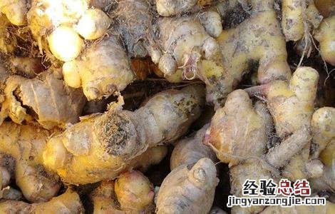 生姜贮藏方法有哪些 生姜贮藏方法