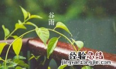谷雨是什么季节?是什么季节的节气 谷雨是什么季节