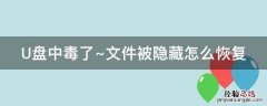 U盘中毒了~文件被隐藏怎么恢复 u盘中毒如何恢复被隐藏文件