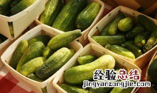 黄瓜葡萄一起吃对身体好吗 黄瓜葡萄可以一起吃吗