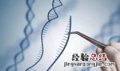 基因编辑过程中高能磷酸键会断裂吗 高能磷酸键容易断裂吗