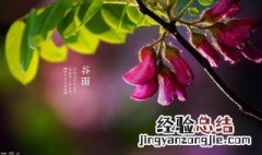 谷雨是什么时候的节气 谷雨是什么时候
