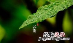 谷雨怎么养生 谷雨吃什么养生窍门