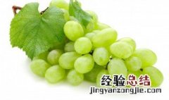 葡萄和水不能一起吃吗 葡萄和水不能一起吃吗