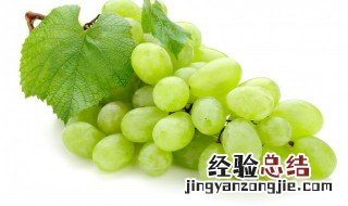 葡萄和水不能一起吃吗 葡萄和水不能一起吃吗