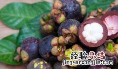 生蚝可以跟山竹一起吃吗 生蚝能和山竹一起吃吗