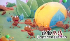 如何防治蚂蚁 家中如何防治蚂蚁