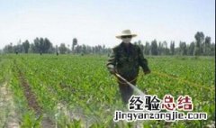 除草剂自制法视频教程 除草剂自制法