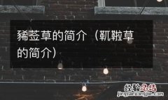靰鞡草的简介 豨莶草的简介