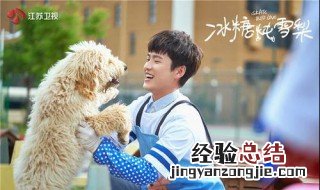 冰糖炖雪梨谁和谁在一起了 冰糖炖雪梨有谁