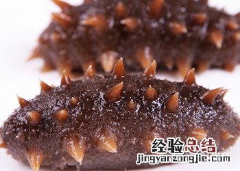 海参的营养价值到底有多高 海参的营养价值