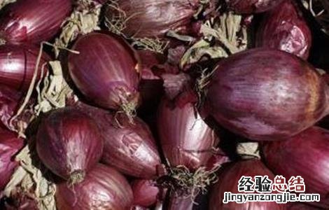 红葱怎么繁殖视频 红葱怎么繁殖