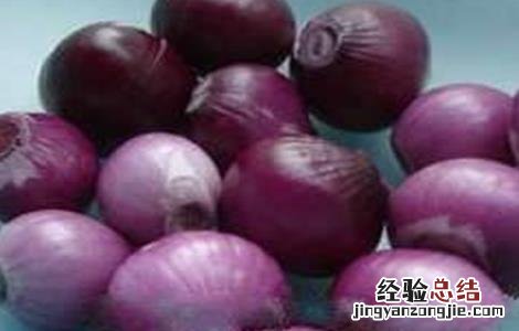 红葱栽培技术 红葱种植技术