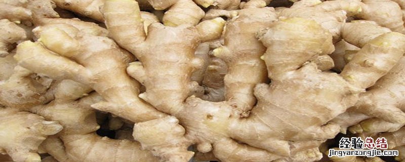 生姜绿了还能吃吗 生姜绿了以后还能吃吗