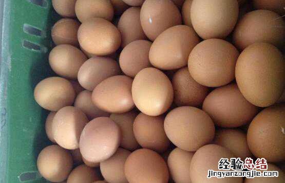 鸽子蛋对比鸡蛋的营养价值及功效 鸽子蛋和鸡蛋营养对比