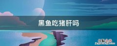 黑鱼肝能吃吗 黑鱼吃猪肝吗