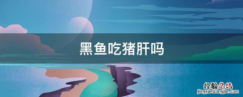 黑鱼肝能吃吗 黑鱼吃猪肝吗