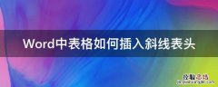 word表格怎么加表头斜线 Word中表格如何插入斜线表头