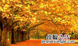 关于秋天的诗配 关于秋天的诗配画二年级