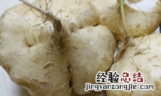 常吃葛根的好处和坏处 生吃沙葛的功效与作用