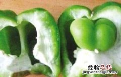 辣椒畸形果的原因 甜椒畸形果原因及预防方法