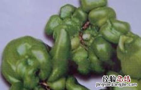 辣椒畸形果的原因 甜椒畸形果原因及预防方法