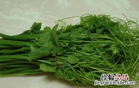 龙须菜怎么施肥 龙须菜怎么施肥最好