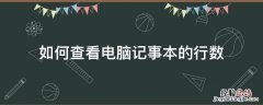 如何查看电脑记事本的行数 电脑记事本查看字数