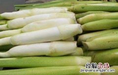 茭白贮藏保鲜方法 茭白的储存和保鲜